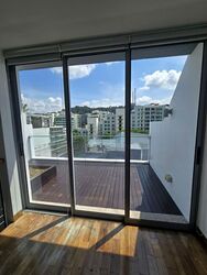 Radiance @ Bukit Timah (D21), Terrace #554019971